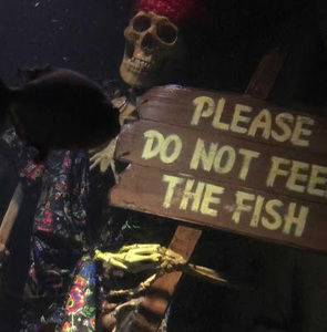 Meet your Posher, Millie